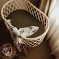 Olive Green Organic Bassinet Sheet