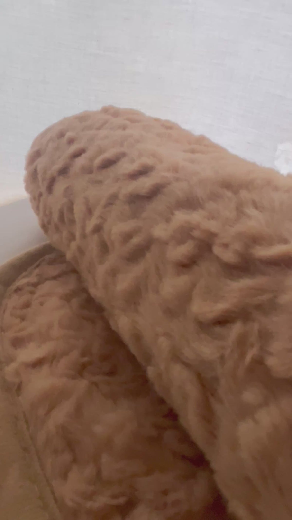 Teddy Fleece Baby Blanket – Caramel