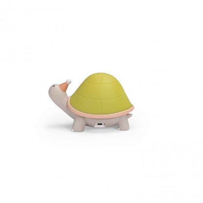 Turtle Night light